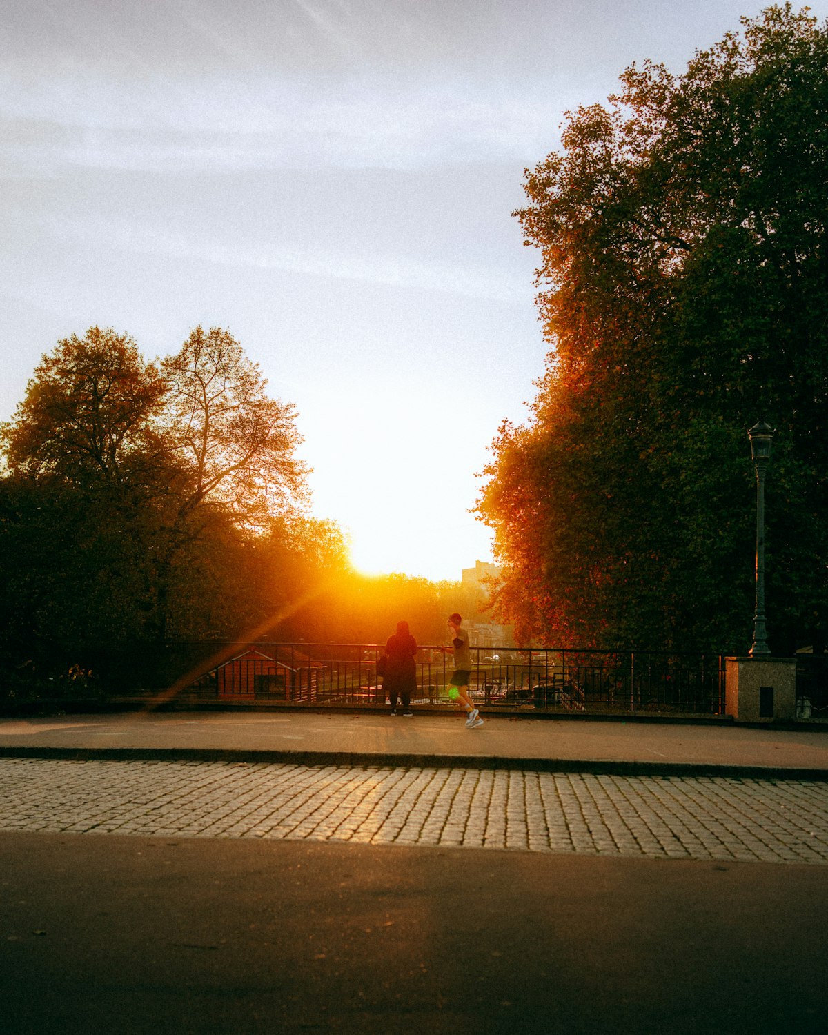 Sunset over a park with trees and people