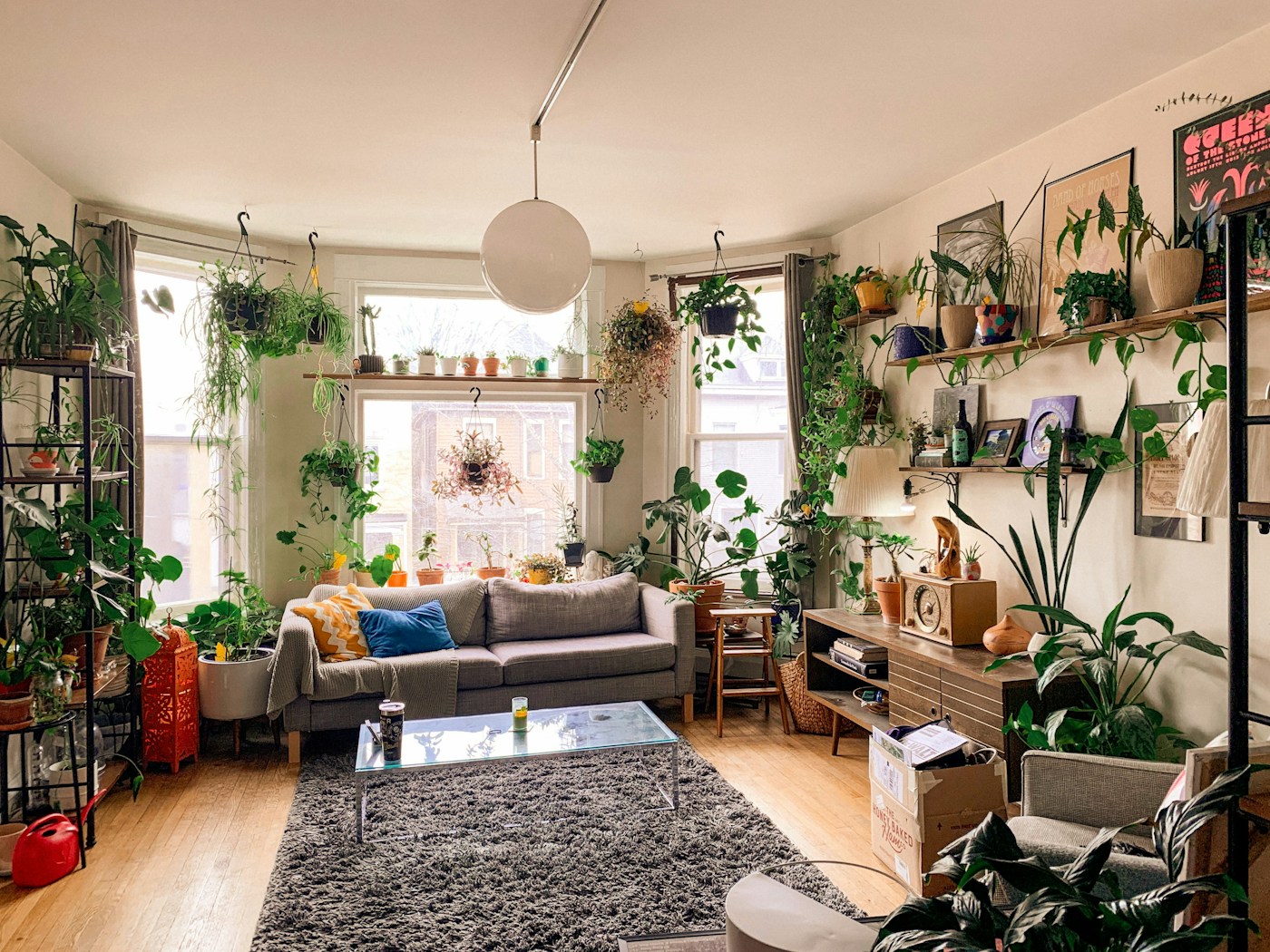 A sunlit, plant-filled living room with a cozy sofa