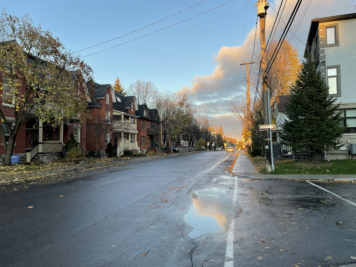 Houses along a quiet residential street